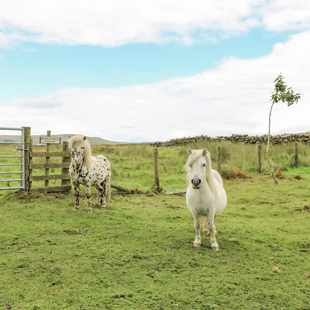 The La'al Cragg * Kirkby Stephen